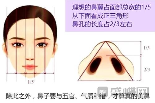 鼻翼的修复方式