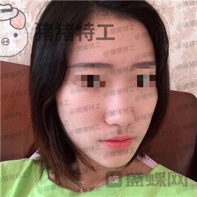武汉华美,马行,,案例,价格,