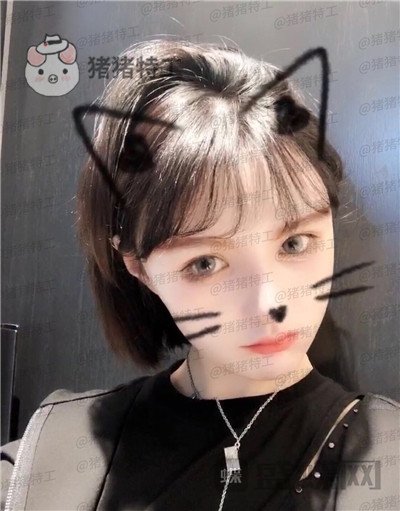 重庆精美,田永华,,案例,价格,